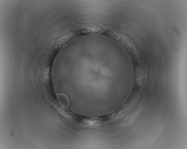 X0000113180563200909041345