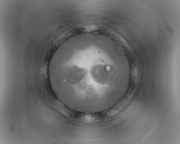 X0000113180565200909041345