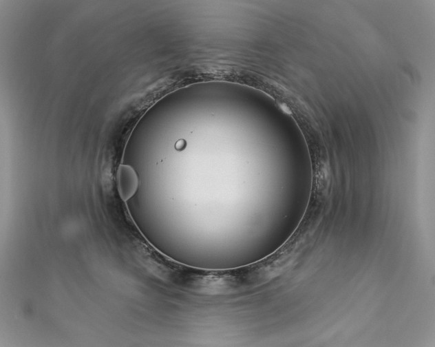 X0000113180566200909041345