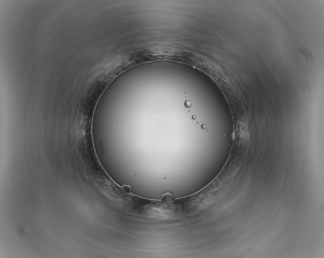 X0000113180567200909041345