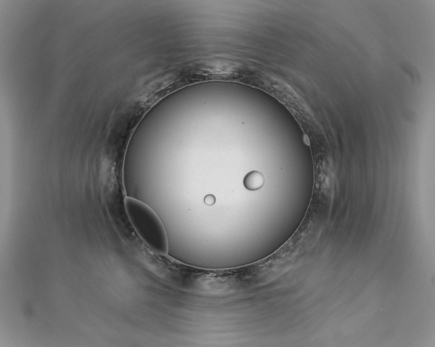 X0000113180568200909041345