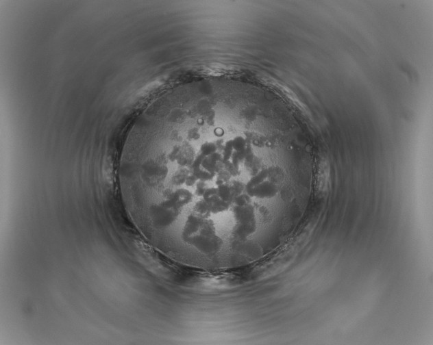 X0000113180569200909041345