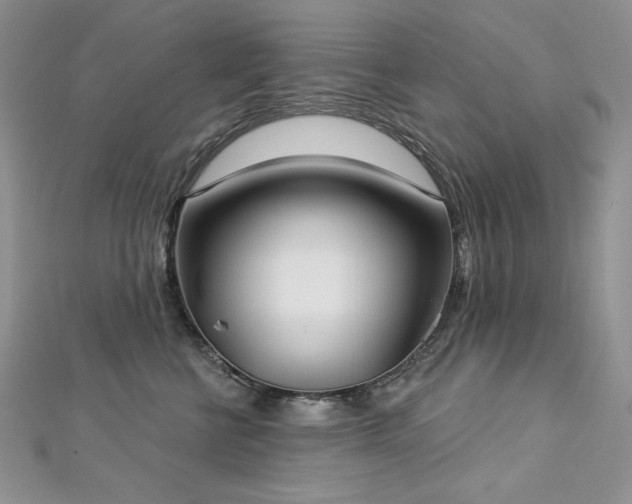 X0000113180570200909041345