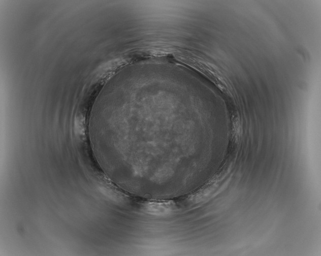 X0000113180571200909041345