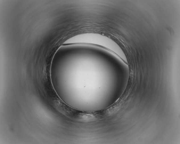 X0000113180572200909041345