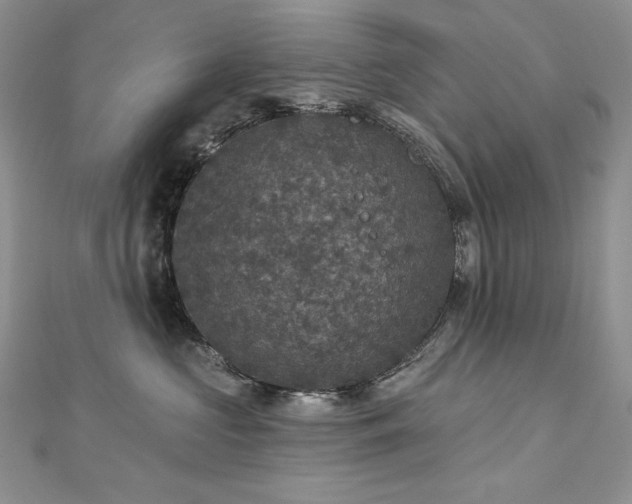 X0000113180573200909041345