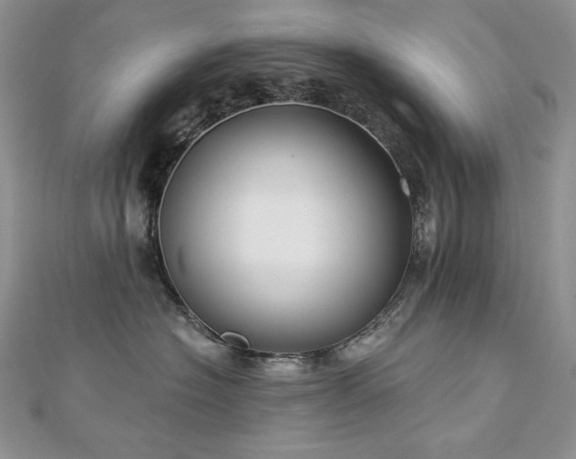X0000113180574200909041345