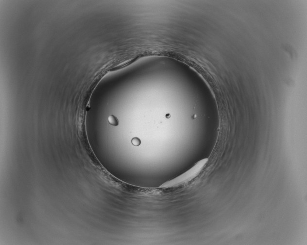 X0000113180576200909041345