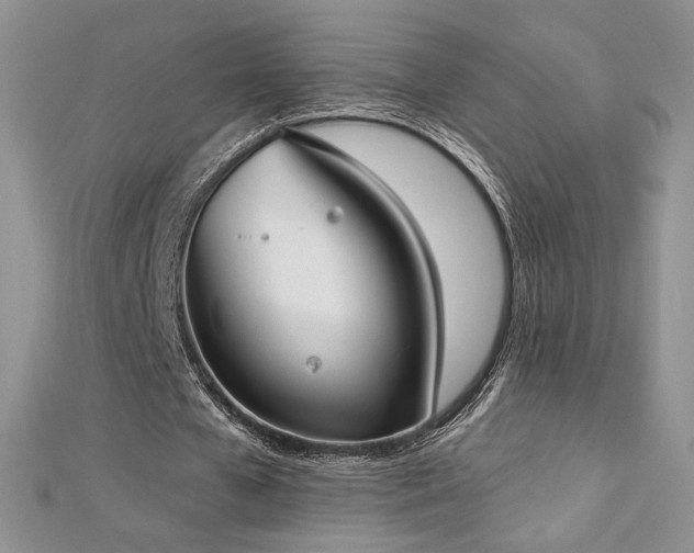 X0000113180577200909041345