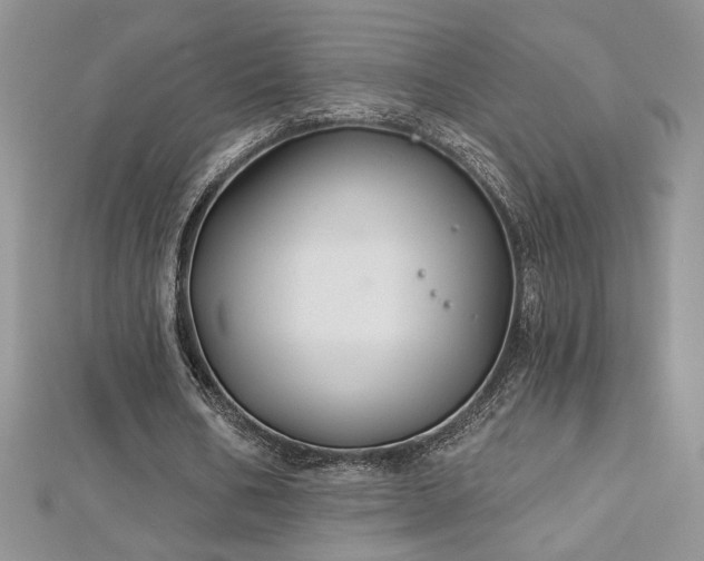 X0000113180578200909041345