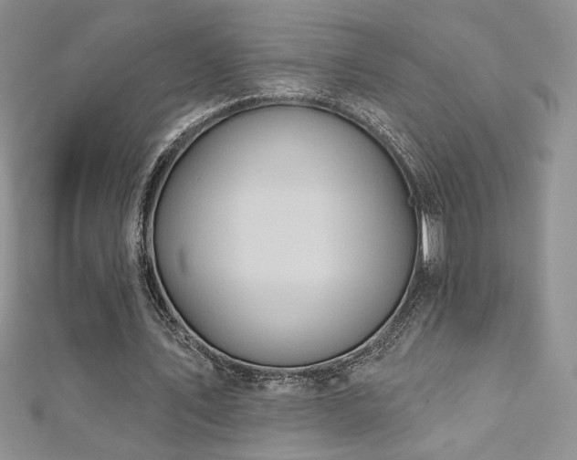 X0000113180579200909041345
