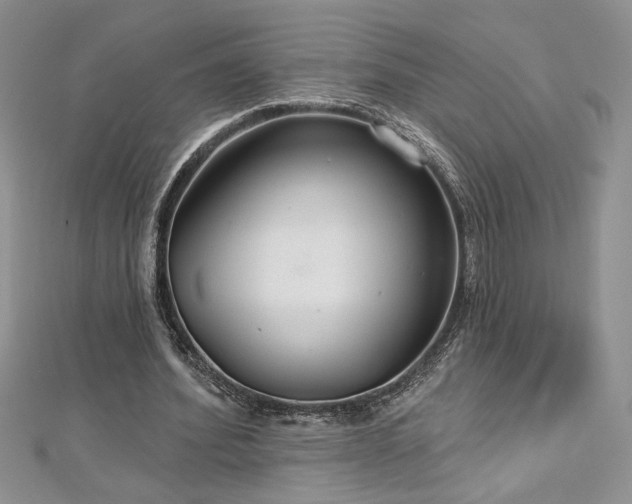 X0000113180580200909041345