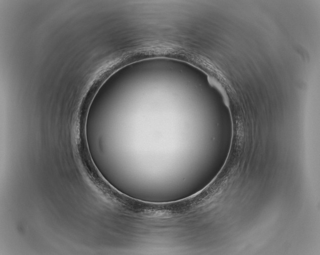 X0000113180582200909041345