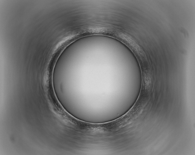 X0000113180583200909041345