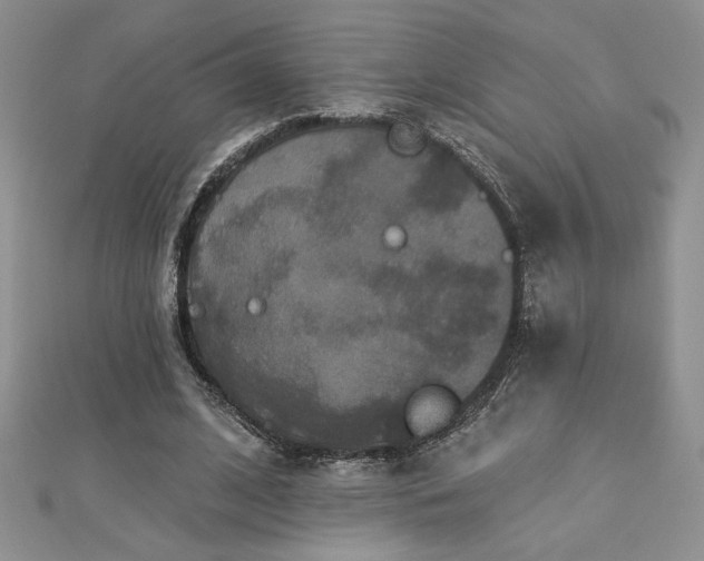 X0000113180584200909041345