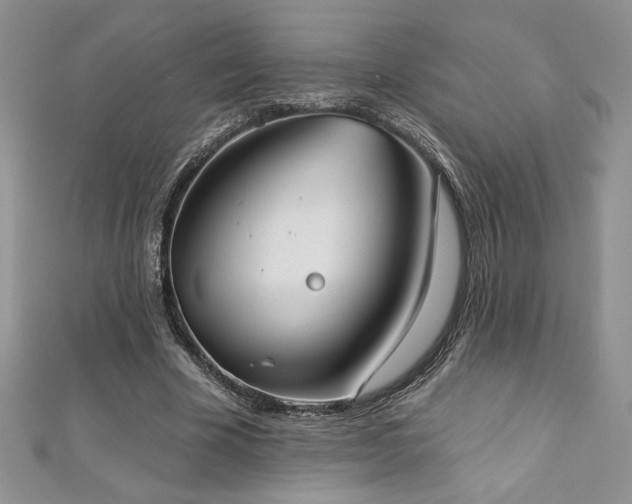 X0000113180585200909041345