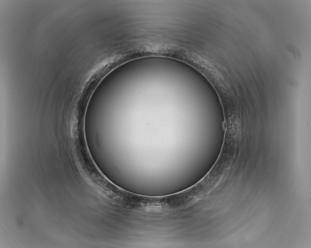 X0000113180587200909041345