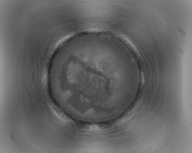 X0000113180588200909041345