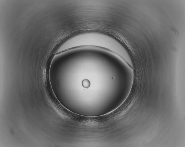 X0000113180589200909041345
