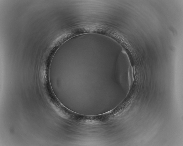 X0000113180590200909041345