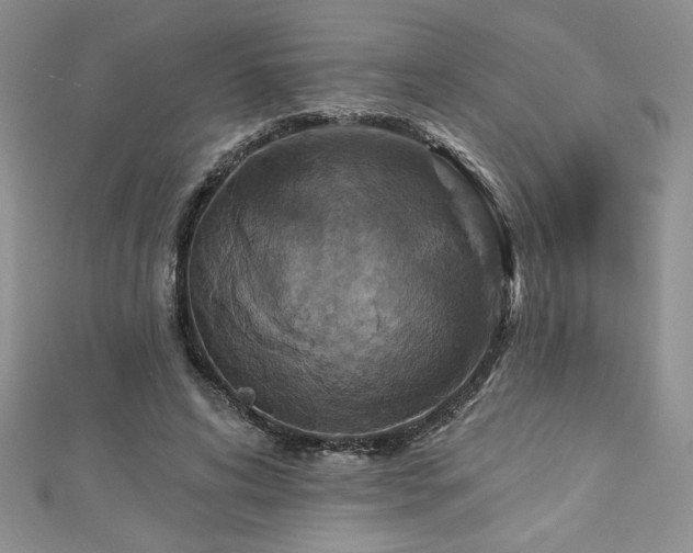 X0000113180592200909041344