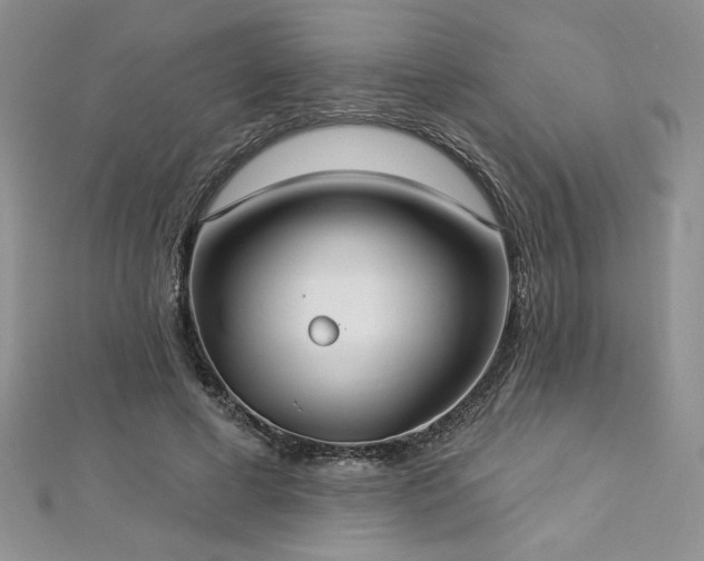 X0000113180593200909041344