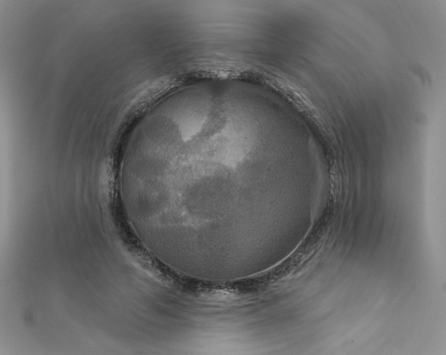 X0000113180594200909041344