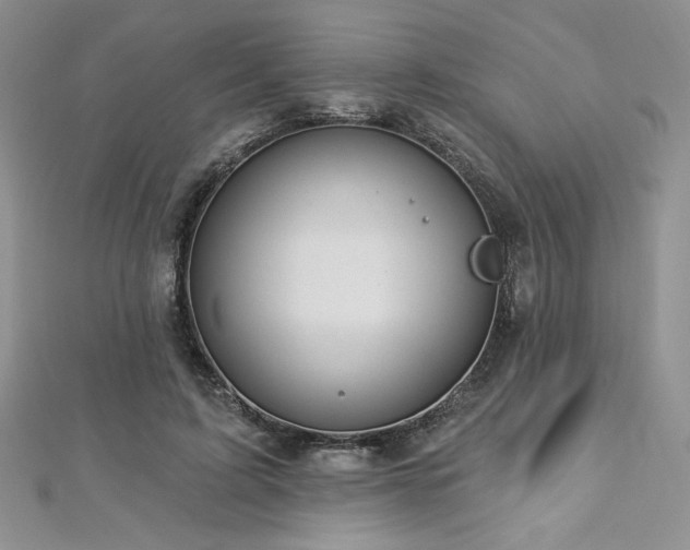 X0000113180595200909041344