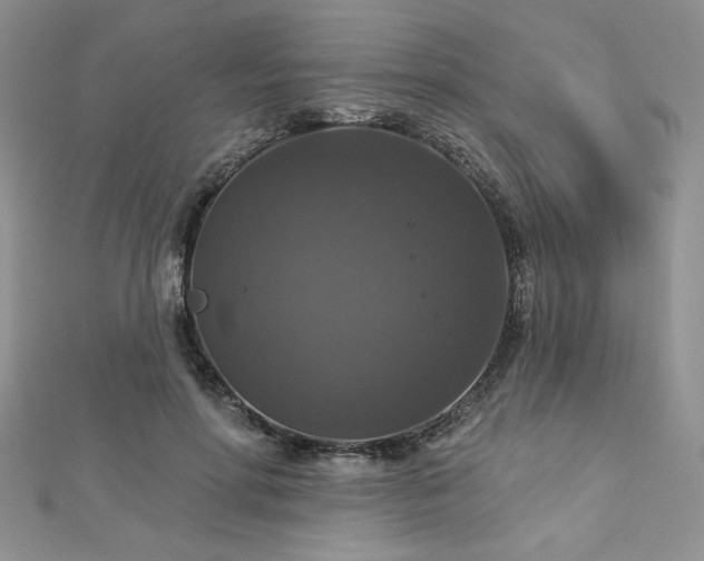 X0000113180598200909041344