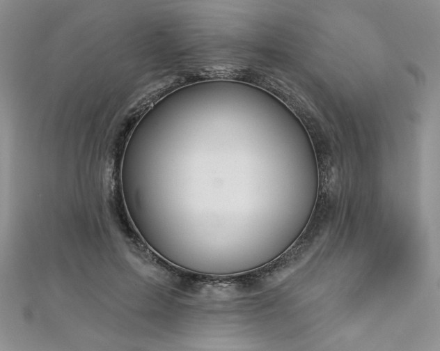 X0000113180599200909041344