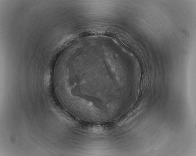 X0000113180600200909041344