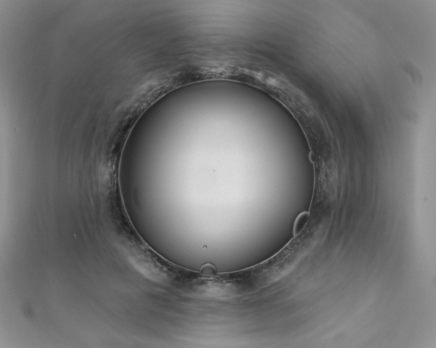 X0000113180601200909041344