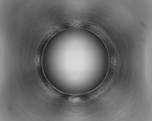 X0000113180602200909041344