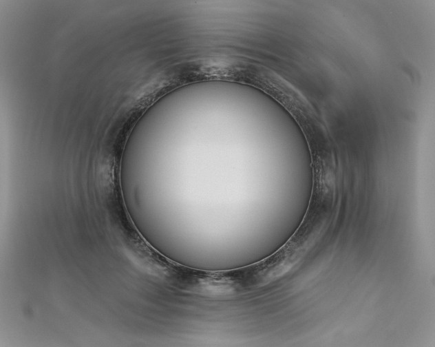 X0000113180603200909041344