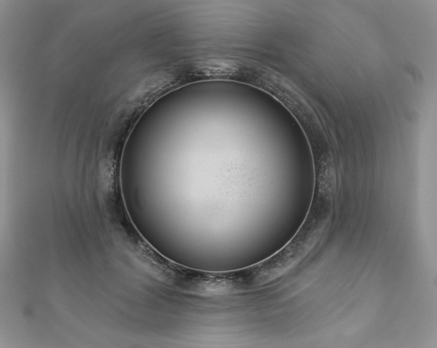 X0000113180604200909041344