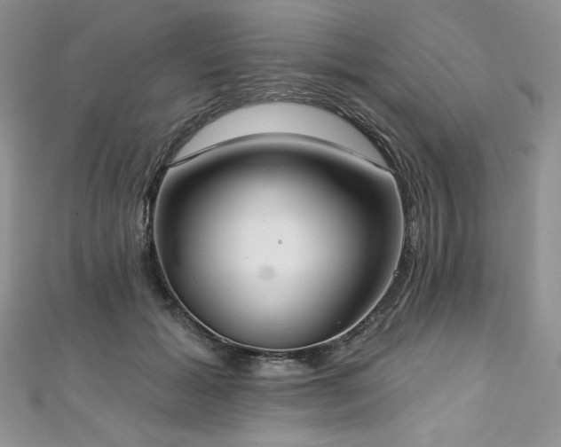 X0000113180605200909041344