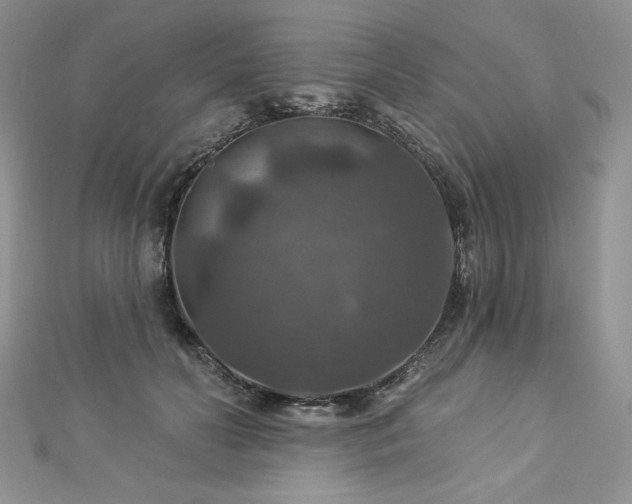 X0000113180606200909041344