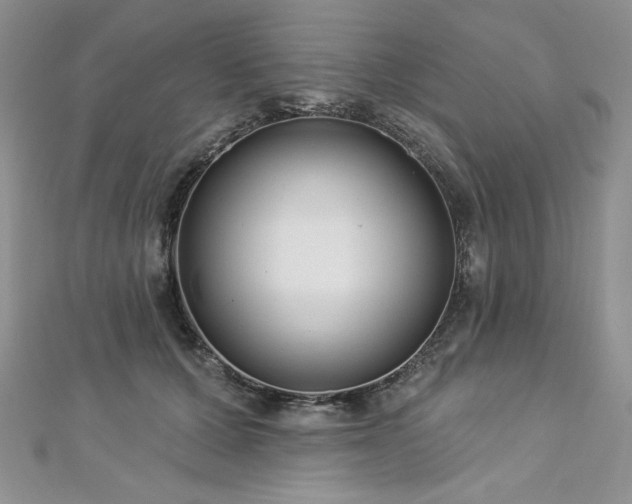 X0000113180607200909041344