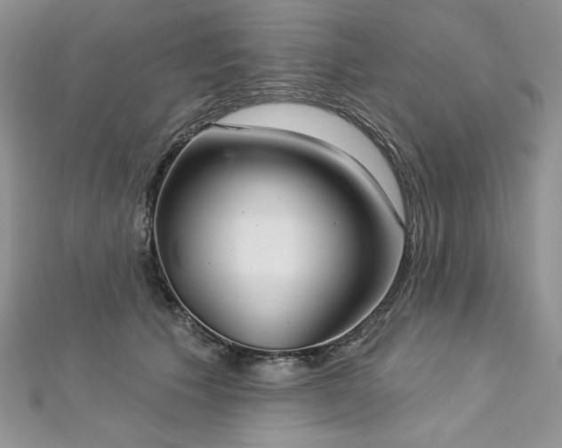 X0000113180609200909041344