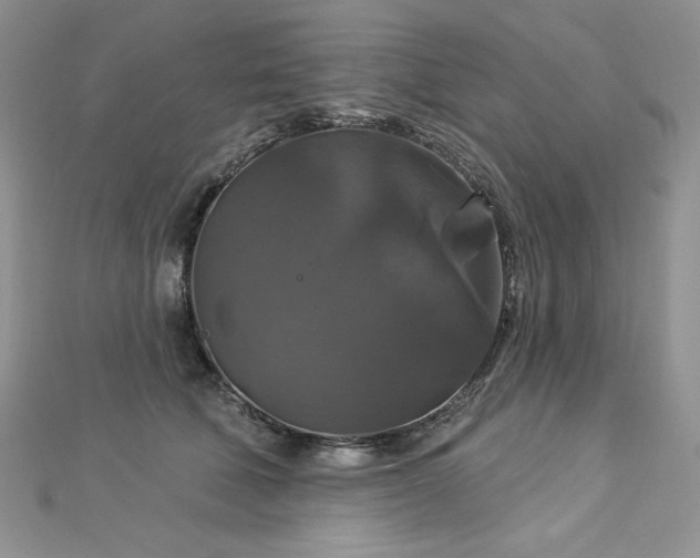 X0000113180610200909041344