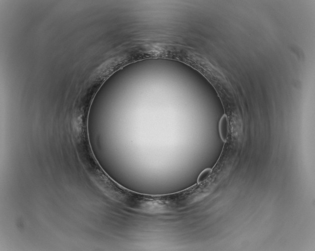 X0000113180611200909041344