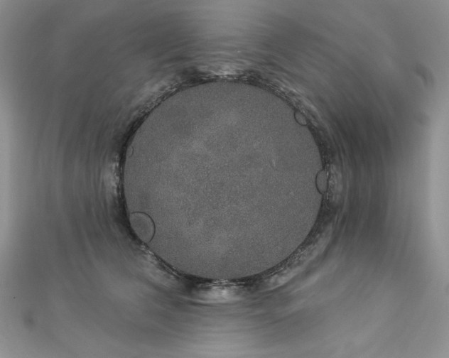 X0000113180612200909041344
