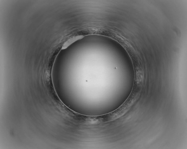 X0000113180613200909041344