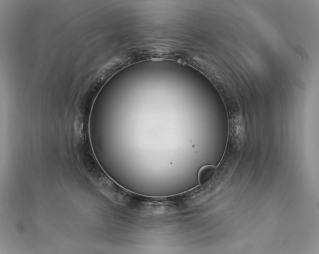 X0000113180615200909041344