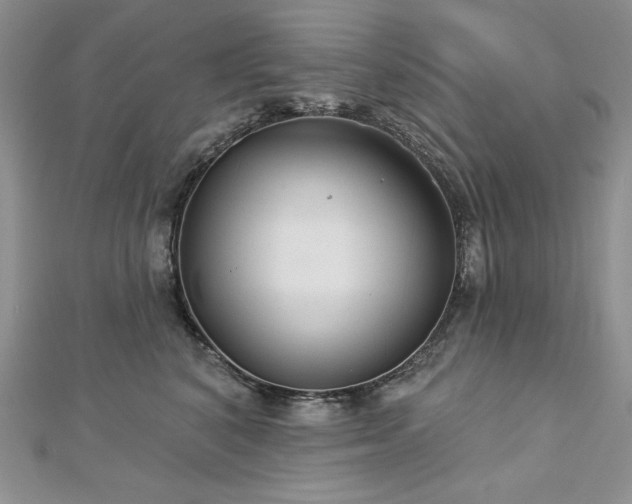 X0000113180616200909041344