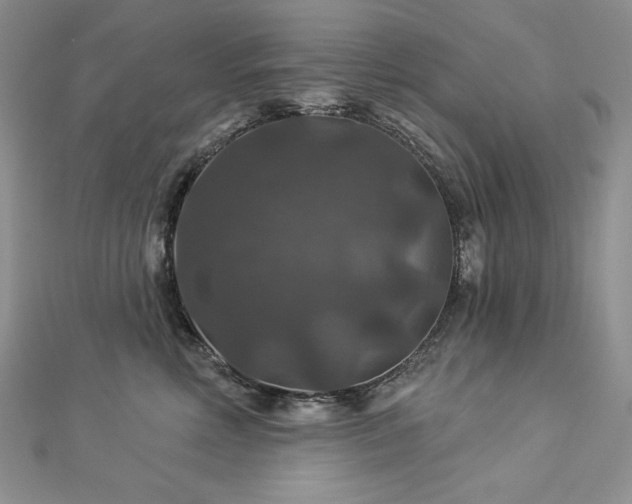 X0000113180618200909041344