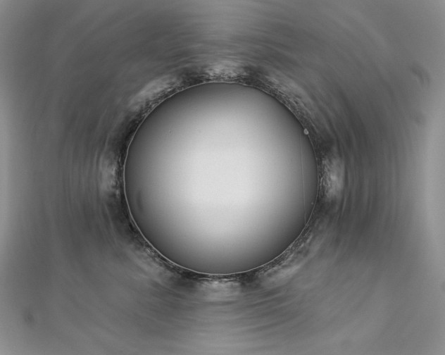 X0000113180619200909041344