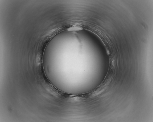 X0000113180620200909041344