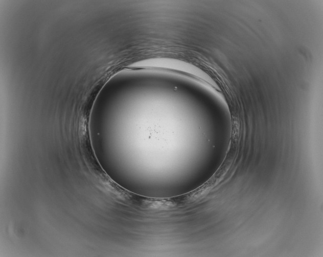 X0000113180621200909041344