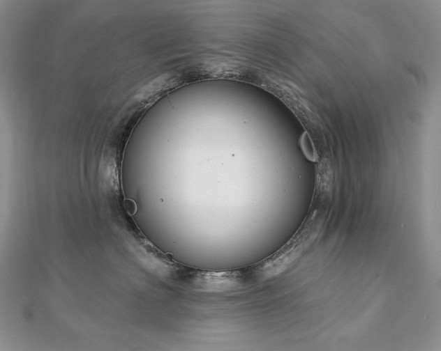 X0000113180622200909041344